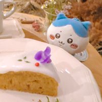 くら(ちい活) (@akam_1128) 's Twitter Profile