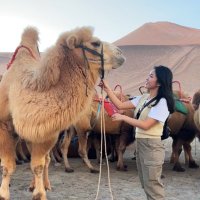 Agnes Sung (@agnessung_) 's Twitter Profile Photo