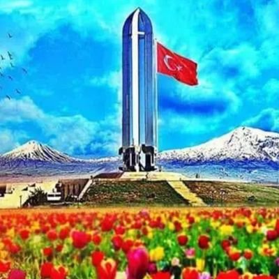 HacYusu88872957's profile picture. ya.