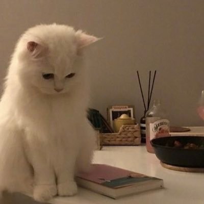 _imjupitersmoon's profile picture. unorganized thoughts write-ups.