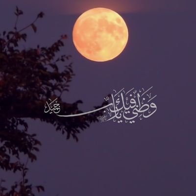 مهتم في القطاع غير الربحي #الاستدامة_المالية