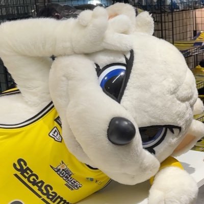 ✝美花✝† on X