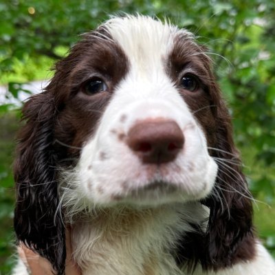 KneadHaven's profile picture. I love bakery of all types