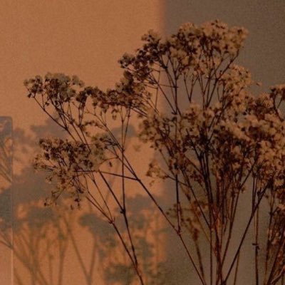 Evolving_Dove's profile picture. 