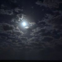 talal (@talal_______) 's Twitter Profile Photo