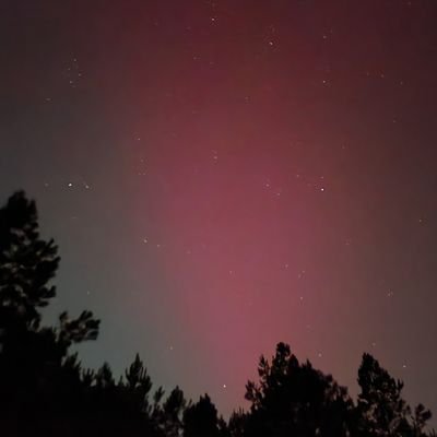 MissDeschaneaux's profile picture. 