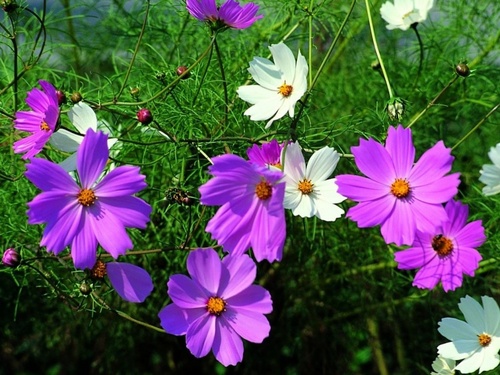 peopleseong's profile picture. 