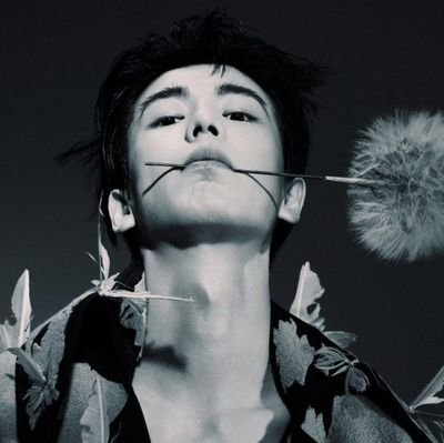 DaraAyra's profile picture. 