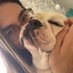 Nicole (@nicolemouchrek) Twitter profile photo Nicole (@nicolemouchrek) Twitter profile photo
