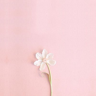 お取引 20↑