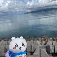 ゆう🦕サブ垢なし (@yuuup84) 's Twitter Profile Photo ゆう🦕サブ垢なし (@yuuup84) 's Twitter Profile Photo