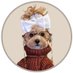 noodles the pooch coin (@noodscoin) Twitter profile photo noodles the pooch coin (@noodscoin) Twitter profile photo