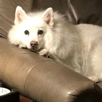 Rapscalliana (@rapscallianna) 's Twitter Profile