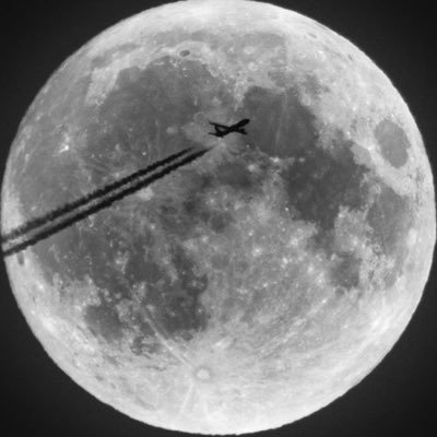 Eggatron87's profile picture. 