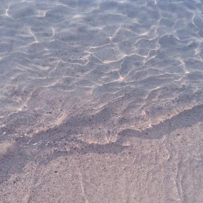 SnippetLines's profile picture. ✍🏻