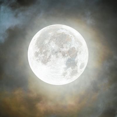 Shrikant311215's profile picture. आत्मनिर्भर