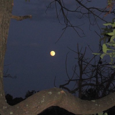 b1uberrycup's profile picture. Hideout