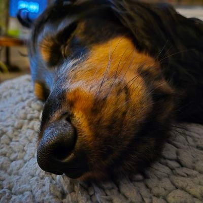 Marvel mad Hearing Dog partner of Bran, Reading FC fan, and Co-Chair of Reading FC DSA.