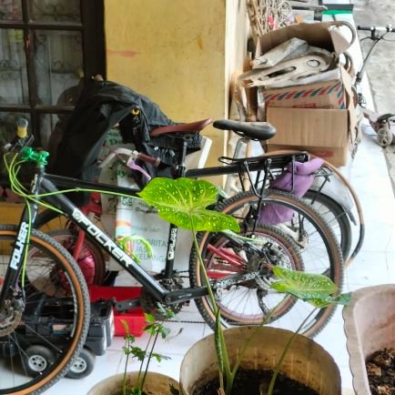 SugihartoSugie's profile picture. Simple