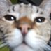 Wares (@waresin) Twitter profile photo Wares (@waresin) Twitter profile photo