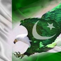 Chaudhary Hassan (@hassanhassangu2) 's Twitter Profile