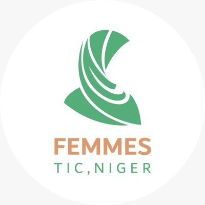 Femmes TIC Niger Profile