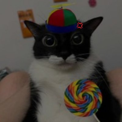 br4anisbif61002's profile picture. HELLO I will not upload content I am just seeing insane things