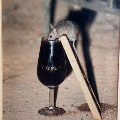 MaraJessLpez1's profile picture. Kawaii