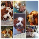 Philip Bushell - @PhilipBush32044 - Twitter