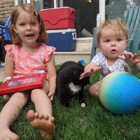 Wes Macc (@wes_macc) 's Twitter Profile