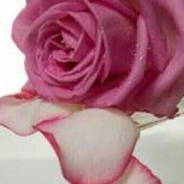 wtynanr's profile picture. 