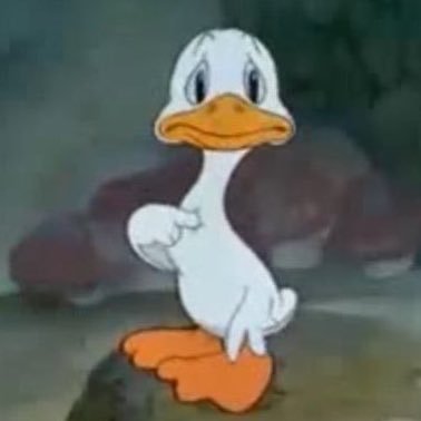 97JandL's profile picture. ( LISA ⊹ ✩)