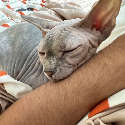 Alex1Brasoveanu's profile picture. 