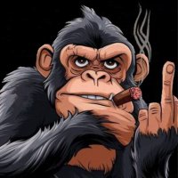 right dog (@richard_do88659) 's Twitter Profile