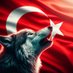 𐱅𐰇𐰼𐰚 (@mergenbozkurt) Twitter profile photo
