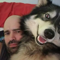 Bradley Hall no relation to Maegan Hall (@brad0808) Twitter profile photo
