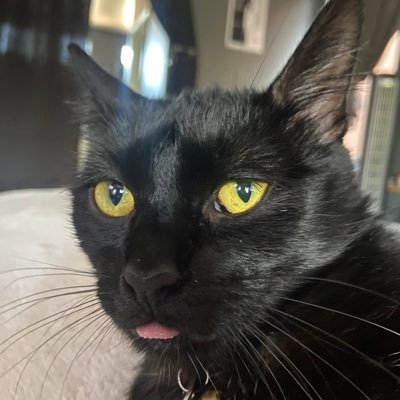 yesss06's profile picture. y seguiré