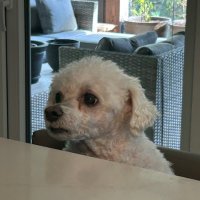 XX. (@susie64528211) 's Twitter Profile Photo XX. (@susie64528211) 's Twitter Profile Photo
