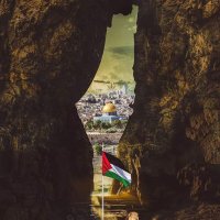 Mohammed Qwaider (@mohammedqw77586) 's Twitter Profile