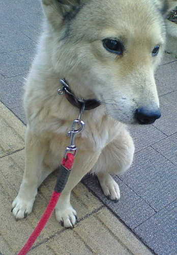 PONY0301's profile picture. R&B/HIP HOP/POP/DANCEなMusic、美容健康、食べることが大好きなお馬さんです(・∀・)