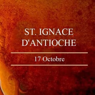 IMigisha29178's profile picture. 