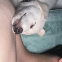 SuprxZ (@suprxzl) 's Twitter Profile
