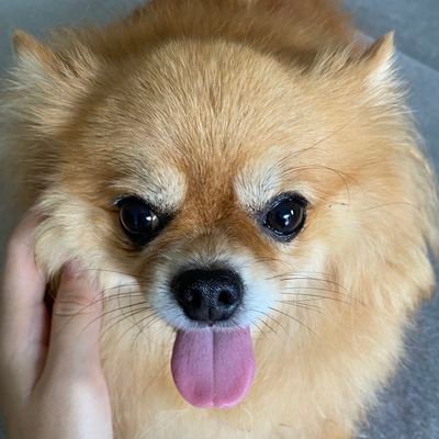 punghoonx's profile picture. ˚✿~❀˚･🐣🍒 รักโลกเหมือนหมาตัวนึง🥹🫶🏻
