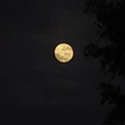 Nomar7777777's profile picture. 