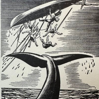 videogamealex's profile picture. The best video game player ever to have played video games in the history of video games.