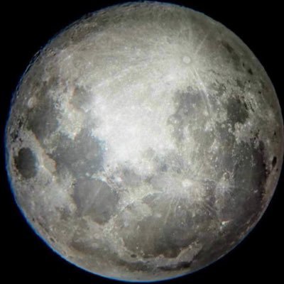 machiavillainyy's profile picture. a voice of a generation #cantfakeinfluence i hate Israel