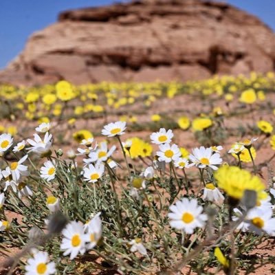 fwzfwz224's profile picture. ✍ صّلوا على الحبيب ﴿ﷺ﴾ ━━﴿ﷺ﴾━━ ﴿ﷺ﴾ ﴿اللهّم صل على محمد وعلى آله وصحبه﴾ ﴿ﷺ﴾ ━━﴿ﷺ﴾━━ ﴿ﷺ﴾