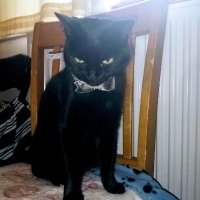 Hilda (@h73600207) 's Twitter Profile Photo Hilda (@h73600207) 's Twitter Profile Photo