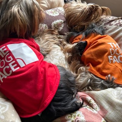 yosuke112218's profile picture. 毎日自由に楽しくいたい La'cryma Chistiに命預けます