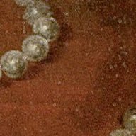 wmh_n's profile picture. 20↑ 見る専